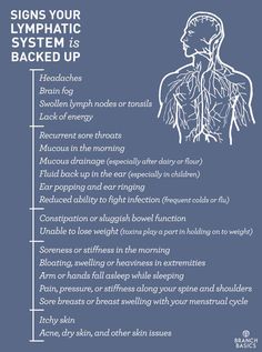 Branch Basics, Lymph System, Lymph Drainage, Lymph Nodes, Liver Detox, Missing Link, Detox Cleanse, Detox Smoothie, Health Info