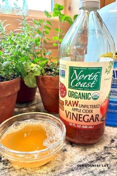 ingredients to make an apple cider vinegar recipe on a granite countertop with potted plants in the background