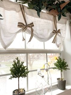 two potted plants sit on the windowsill in front of a window with white drapes