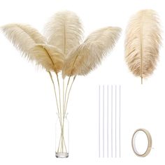 three tall white feathers are in a vase with some sticks and an ointt