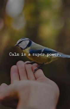 a hand holding a small bird with the words calm is a super power on it