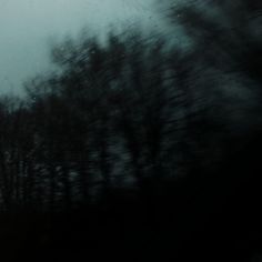 trees are seen through the windshield of a car