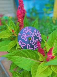 a purple and pink button sitting on top of some green leafy plants in front of a house