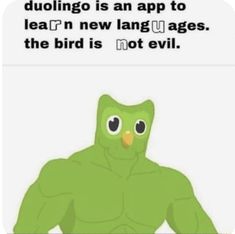 a green bird with an angry look on its face and the caption that reads, when