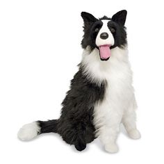 a black and white dog sitting with its tongue out