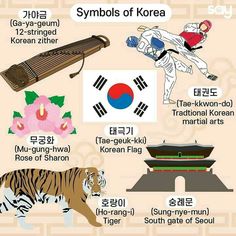 the symbols of korea are shown in different languages and colors, including tiger, tiger - like