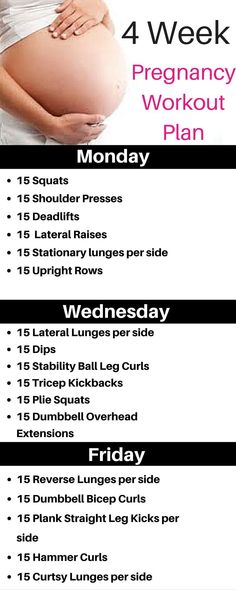 Home - Michelle Marie Fit Prenatal Workout Plan, Pregnancy Workout Plan, Plie Squats, Tricep Kickback, Pregnancy Info, Lateral Lunges, Prenatal Workout, Pumping Moms, Leg Curl