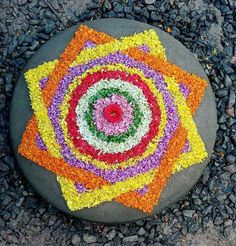 there is a rock with flowers on it