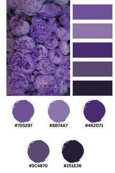 the color scheme is purple and has different shades