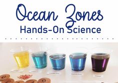 the ocean zones hands - on science is an easy way to learn how to use them