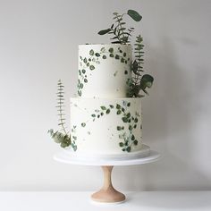 there is a three layer cake with plants on it