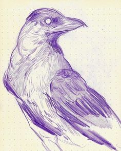 a drawing of a bird sitting on top of a piece of paper