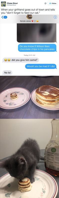 a cat is trying to eat some pancakes on the table and then it's too cute