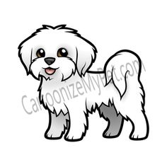 a white dog with brown eyes and long hair standing in front of a white background