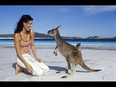 a woman kneeling down next to a kangaroo on the beach