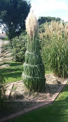 a tall grass plant sitting on top of a lush green field next to a sidewalk