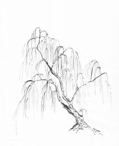 a drawing of a tree in the snow