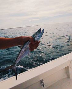 a person holding a fish on the back of a boat