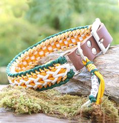 two braided bracelets sitting on top of a tree branch