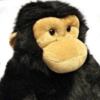 a stuffed monkey is sitting on a white surface with its head turned to the side