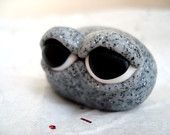 a close up of a small rock with eyes on it's face and one eyeball in the middle