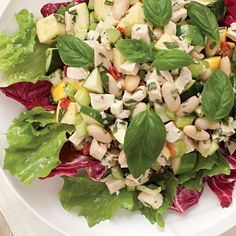 a white plate topped with lettuce and chicken salad