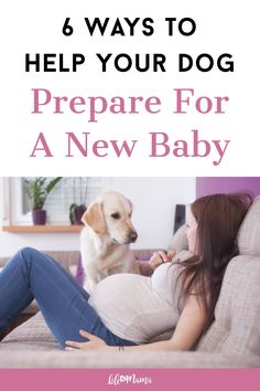 a pregnant woman sitting on the couch with her dog and text that reads, 6 ways to help your dog prepare for a new baby