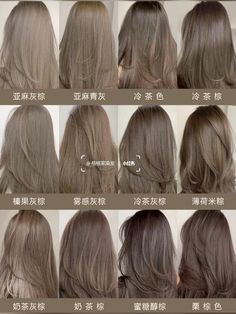 Brown Ash Grey Hair, Different Kinds Of Brown Hair, Hair Color Grey Brown, Shades Of Ash Brown Hair Color, Chocolate Greige Hair Color, Ash Taupe Gray Hair Color, Milk Ash Brown Hair, Mute Brown Hair Color, Ash Brown Hair Color Asian