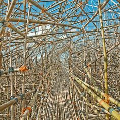 many bamboo poles are arranged in the shape of a tunnel