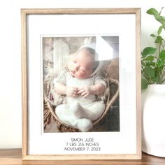 a framed photograph of a baby in a basket next to a potted green plant