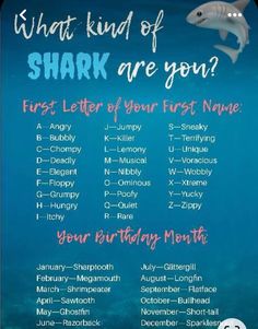 a poster with the words shark are you and an image of a dolphin in the water