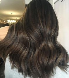 Brazilian Brown Hair Color, Milk Brown Highlights, Chocolate Babylights On Dark Hair, Chocolate Brown Lowlights Brunettes, Milk Chocolate Brunette Hair, Dark Brown Golden Hair, Balayage Hair With Lowlights, Chocolate Brown With Dimension, Milk Chocolate Balayage