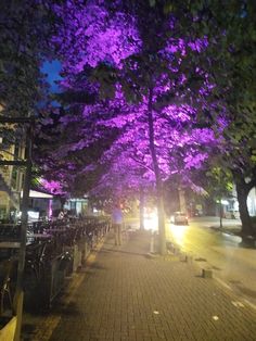 purple trees are lit up in the night on a brick sidewalk next to parked bicycles