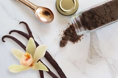 an orchid sits next to some cocoa powder and spoons