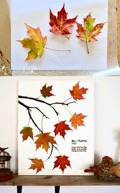 fall leaves are displayed on a shelf in front of a white wall and an image of a