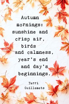 An encouraging autumn quote on an aesthetic background, promoting inner strength and peace. Pile Of Leaves, November Quotes, Victoria Erickson, Magic Quotes, Can You Feel It