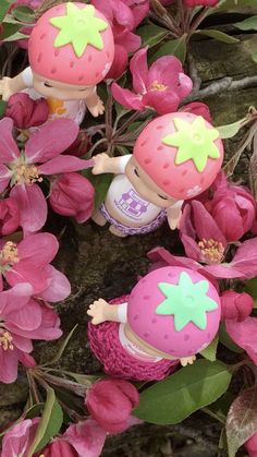 two little dolls are sitting on some pink flowers