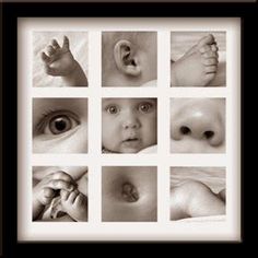 black and white photograph of baby's eyes, nose, head, hands and feet