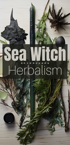 Herb Sachets, Protection Sachet, Water Witchcraft, Sea Witchcraft, Beach Witch, Witchy Apothecary, Coastal Plants, The Sea Witch, Sea Lavender