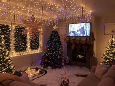 Christmas Decor Ideas Studio Apartment, Pretty Christmas Decorations, Christmas Decorations Apartment, Christmas Dreaming, Cozy Christmas Decor, Christmas Apartment, Christmas Decor Inspiration, Christmas Themes Decorations, Christmas Decorations Living Room