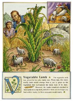 an illustrated book with pictures of farm animals and people in the field, including a corn stalk