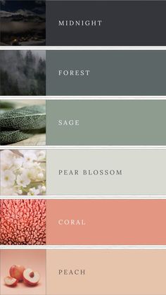 the color palette is shown with different shades