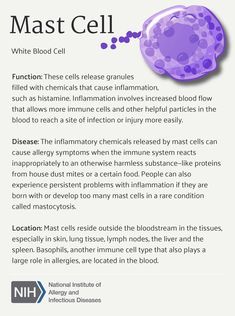 an info sheet describing the benefits of mast cell