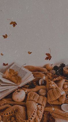 an open book sitting on top of a blanket next to autumn leaves and pumpkins