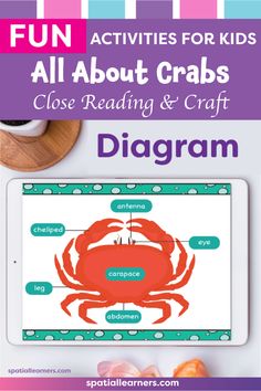 an ipad with the text fun activities for kids all about crabs close reading and craft diagram