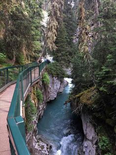 people are walking on a bridge over a river in the woods near some trees and rocks