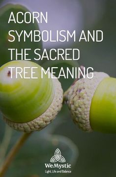 Spiritual Meaning Of Acorns, Acorn Spiritual Meaning, Acorn Uses, Acorn Symbolism, Oak Tree Quotes, Acorn Magic, Mabon Ideas, Acorns Crafts