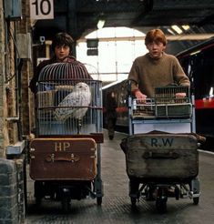 two people with luggage and birds in their cages on the train station platform, one is pulling a cart