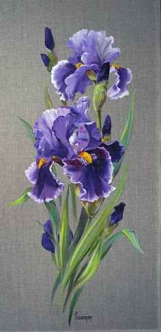 an oil painting of purple irises on a gray background with green stems and leaves