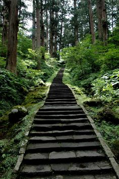 an image of a path in the woods with moss growing all over it's sides